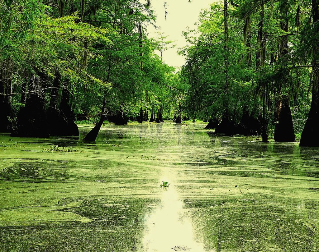 Mon Amérique, un petit coin de France en Louisiane